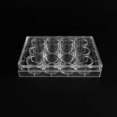 צלחת תרבות תא 12 באר