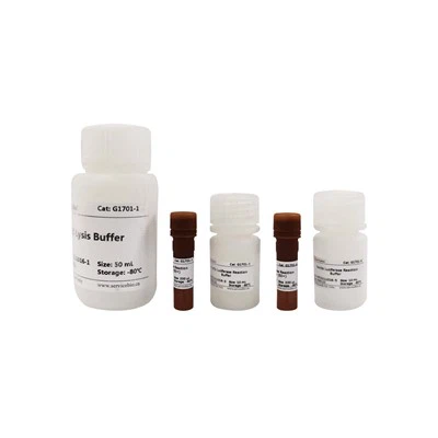 ערכת בדיקת גנים של Dual-Lumi Dual-Luciferase Reporter